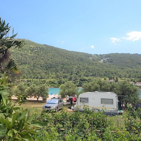 Auto Camp On The Beach - Grebaštica Eksteriør billede